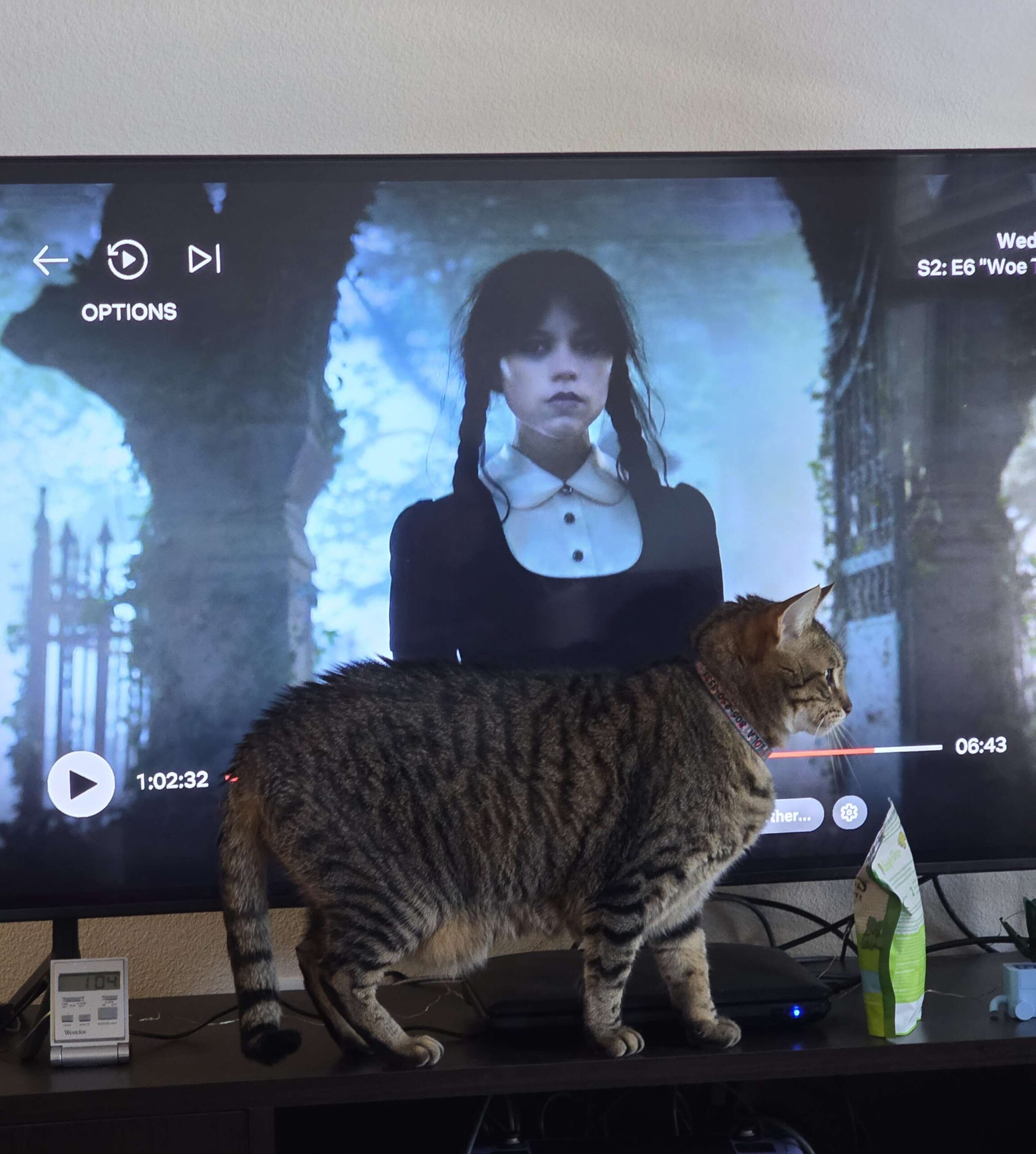 Watching Wednesday Season 2 – Spoilers!